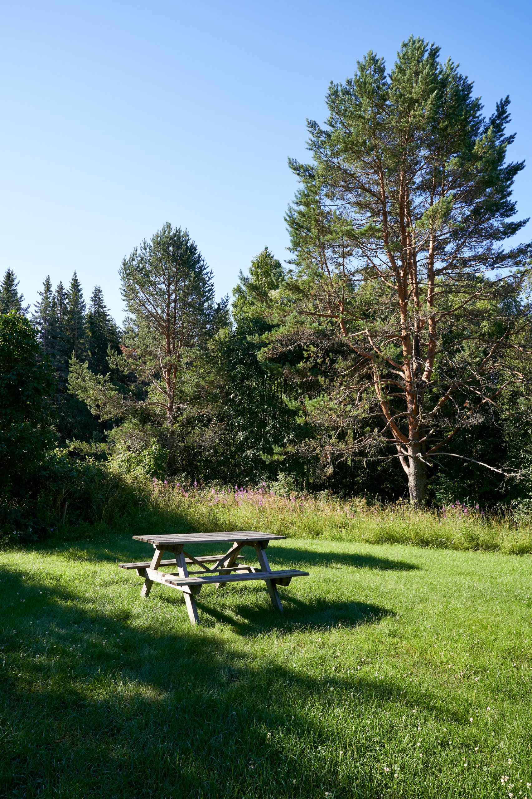 2022 07 22 Sverige 0692